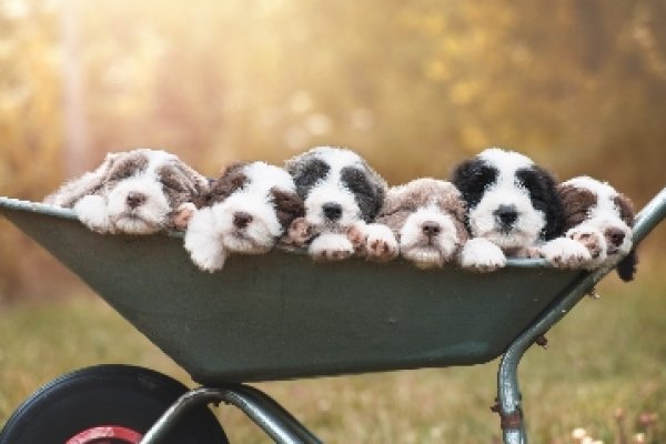 Кракен пользователь не найден