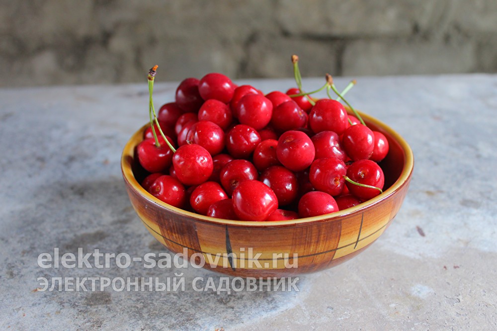 Зеркало kraken krakens16